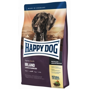 Supreme Irland Happy Dog