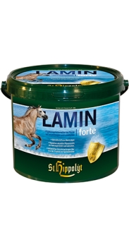 Lamin Forte - StHippolyt
