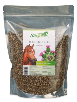 Mariendistel - Stiefel