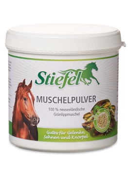 Muschelpulver Stiefel